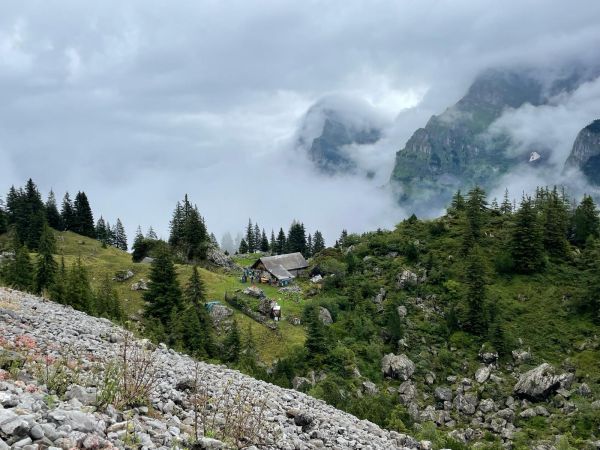 Videos Alpwanderungen